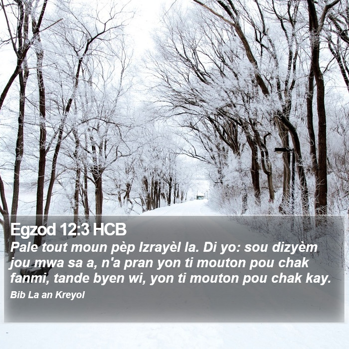 Egzod 12:3 HCB Bible Study