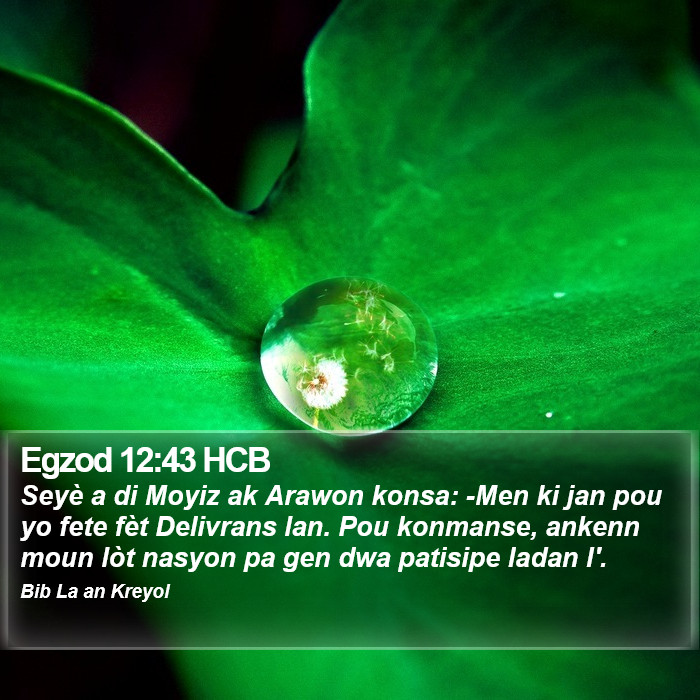 Egzod 12:43 HCB Bible Study