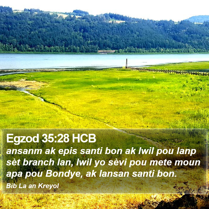 Egzod 35:28 HCB Bible Study