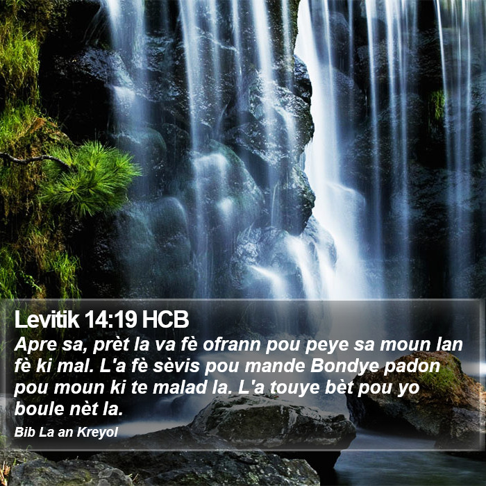 Levitik 14:19 HCB Bible Study