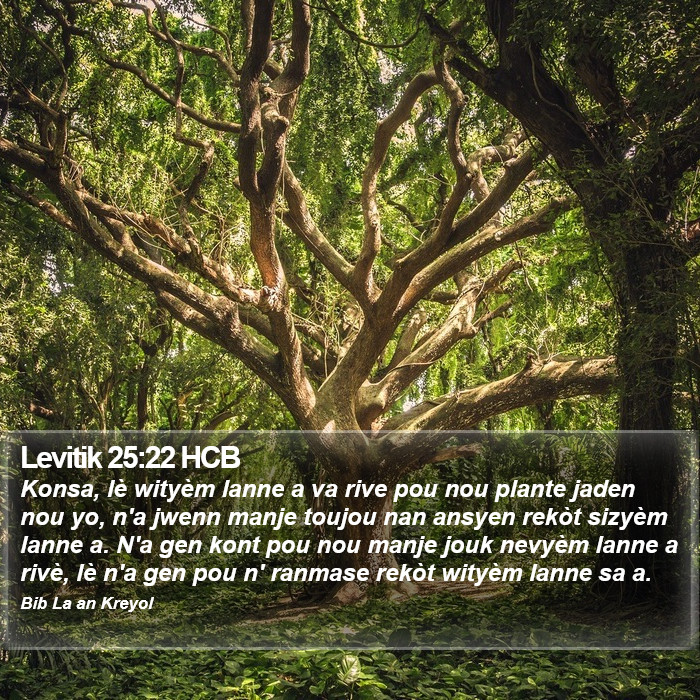 Levitik 25:22 HCB Bible Study