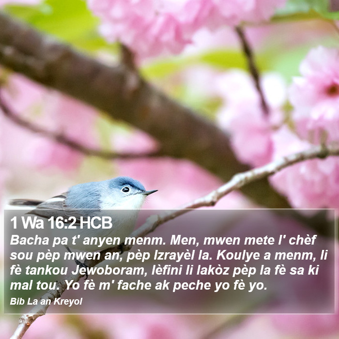 1 Wa 16:2 HCB Bible Study