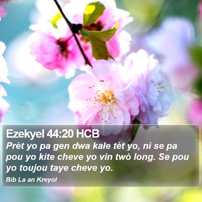 Ezekyel 44:20 HCB Bible Study
