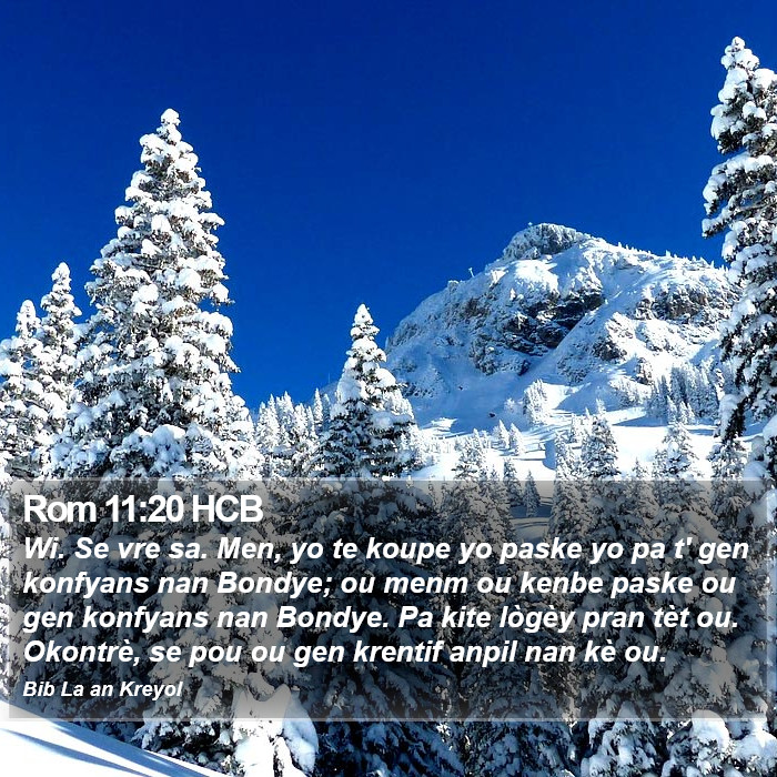 Rom 11:20 HCB Bible Study