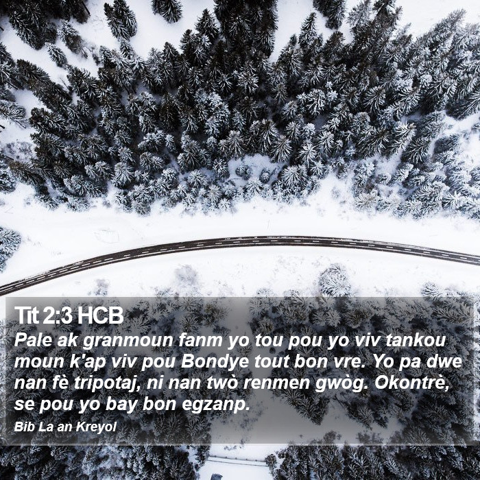 Tit 2:3 HCB Bible Study